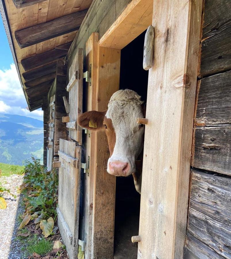 Luxury Chalet Mauthner Alm Kotschach-Mauthen Esterno foto