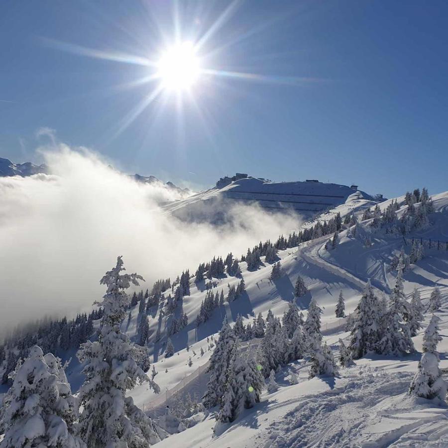 Luxury Chalet Mauthner Alm Kotschach-Mauthen Esterno foto